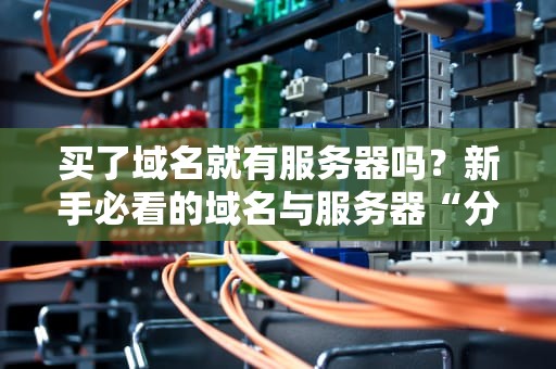 买了域名就有服务器吗？新手必看的域名与服务器“分手”真相！