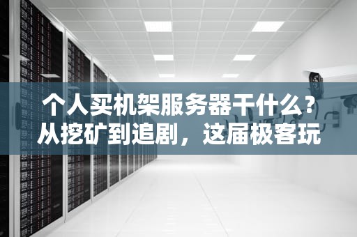个人买机架服务器干什么？从挖矿到追剧，这届极客玩得太硬核！