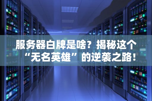 服务器白牌是啥？揭秘这个“无名英雄”的逆袭之路！