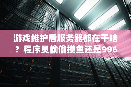 游戏维护后服务器都在干啥？程序员偷偷摸鱼还是996狂修Bug？