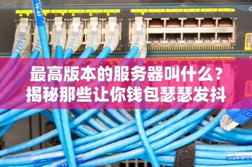 最高版本的服务器叫什么？揭秘那些让你钱包瑟瑟发抖的“性能怪兽”