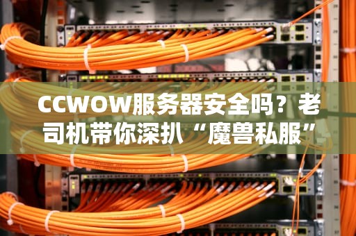 CCWOW服务器安全吗？老司机带你深扒“魔兽私服”那些事儿！