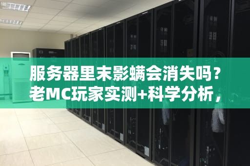 服务器里末影螨会消失吗？老MC玩家实测+科学分析，真相笑死！