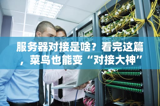 服务器对接是啥？看完这篇，菜鸟也能变“对接大神”！