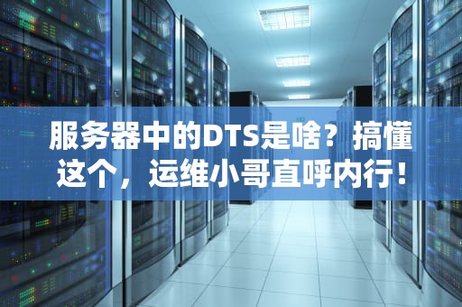 服务器中的DTS是啥？搞懂这个，运维小哥直呼内行！