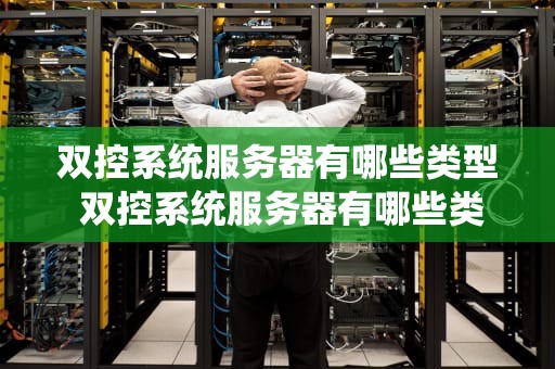 双控系统服务器有哪些类型 双控系统服务器有哪些类型图片