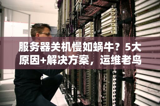 服务器关机慢如蜗牛？5大原因+解决方案，运维老鸟都收藏了！