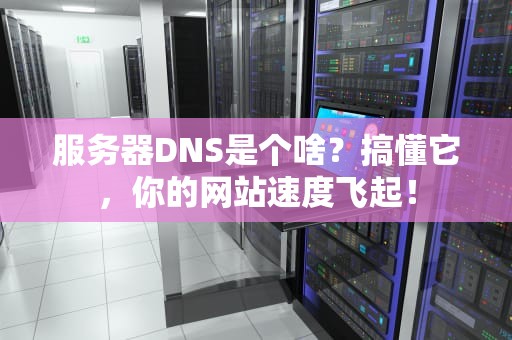 服务器DNS是个啥？搞懂它，你的网站速度飞起！