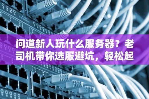 问道新人玩什么服务器？老司机带你选服避坑，轻松起飞不迷路！