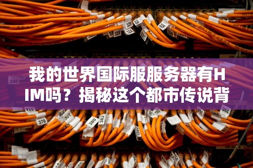 我的世界国际服服务器有HIM吗？揭秘这个都市传说背后的真相！