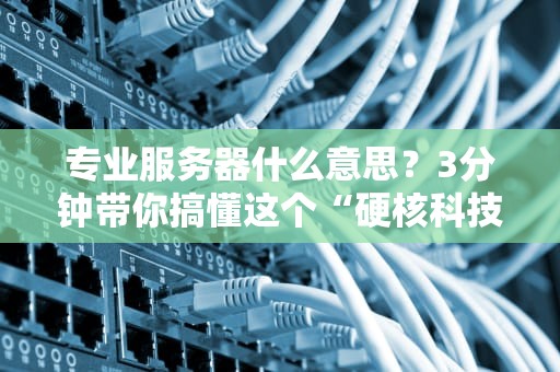 专业服务器什么意思？3分钟带你搞懂这个“硬核科技宅”