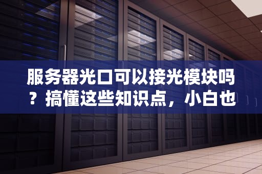 服务器光口可以接光模块吗？搞懂这些知识点，小白也能变大神！