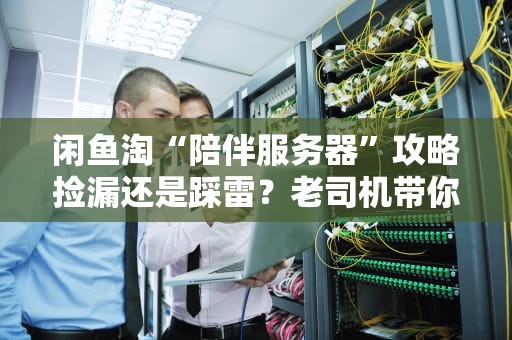 闲鱼淘“陪伴服务器”攻略捡漏还是踩雷？老司机带你避坑！
