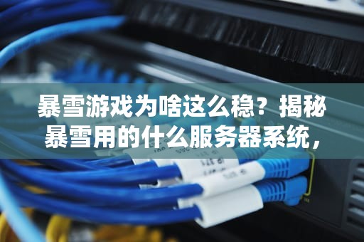 暴雪游戏为啥这么稳？揭秘暴雪用的什么服务器系统，玩家狂喜！