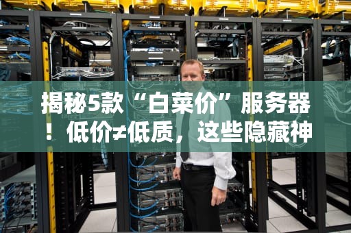 揭秘5款“白菜价”服务器！低价≠低质，这些隐藏神机你试过没？