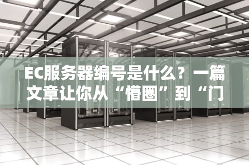 EC服务器编号是什么？一篇文章让你从“懵圈”到“门儿清”！