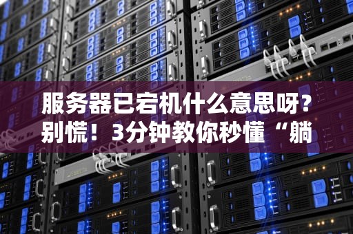 服务器已宕机什么意思呀？别慌！3分钟教你秒懂“躺平”的服务器