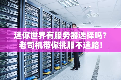 迷你世界有服务器选择吗？老司机带你挑服不迷路！
