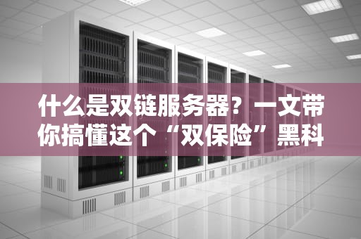 什么是双链服务器？一文带你搞懂这个“双保险”黑科技！