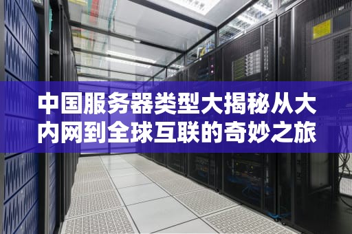 中国服务器类型大揭秘从大内网到全球互联的奇妙之旅！