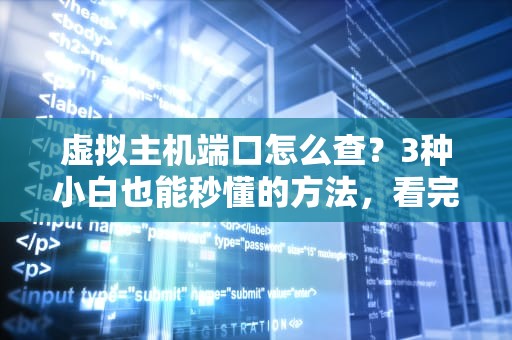 虚拟主机端口怎么查？3种小白也能秒懂的方法，看完直呼内行！