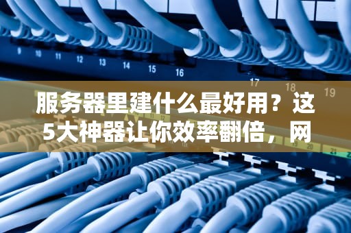 服务器里建什么最好用？这5大神器让你效率翻倍，网友直呼真香！