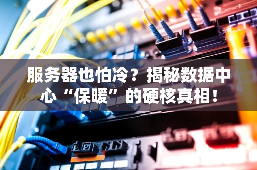 服务器也怕冷？揭秘数据中心“保暖”的硬核真相！