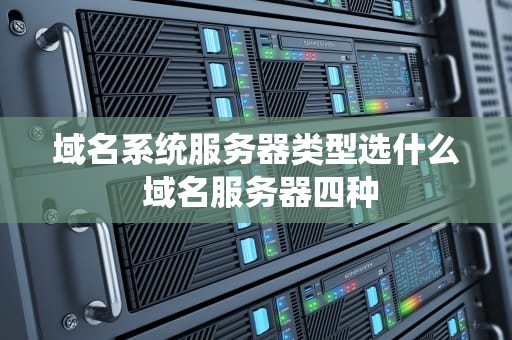 域名系统服务器类型选什么 域名服务器四种