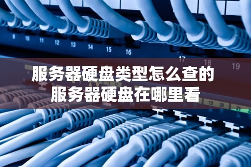 服务器硬盘类型怎么查的 服务器硬盘在哪里看