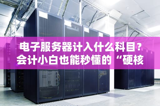 电子服务器计入什么科目？会计小白也能秒懂的“硬核”科普！