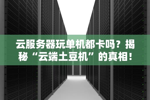 云服务器玩单机都卡吗？揭秘“云端土豆机”的真相！