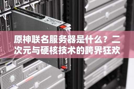 原神联名服务器是什么？二次元与硬核技术的跨界狂欢！