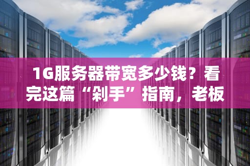 1G服务器带宽多少钱？看完这篇“剁手”指南，老板直呼内行！