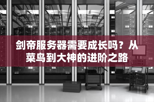 剑帝服务器需要成长吗？从菜鸟到大神的进阶之路