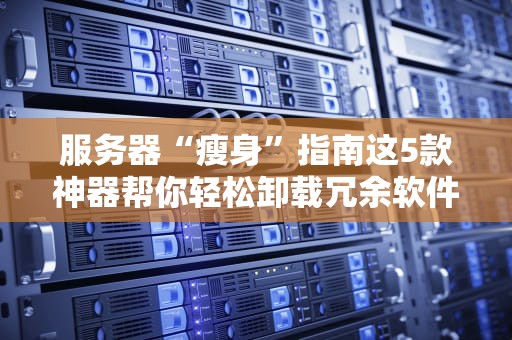 服务器“瘦身”指南这5款神器帮你轻松卸载冗余软件！