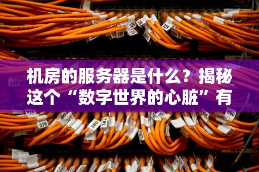机房的服务器是什么？揭秘这个“数字世界的心脏”有多硬核！