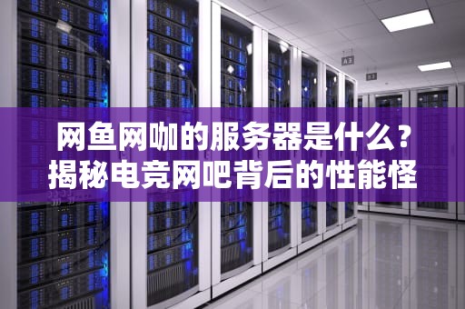 网鱼网咖的服务器是什么？揭秘电竞网吧背后的性能怪兽！