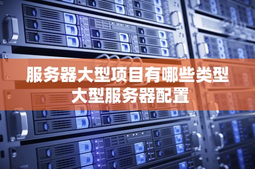 服务器大型项目有哪些类型 大型服务器配置
