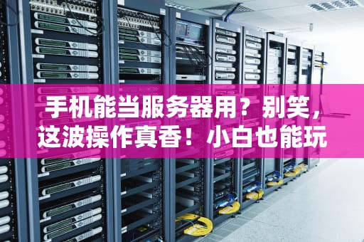 手机能当服务器用？别笑，这波操作真香！小白也能玩转移动服务器