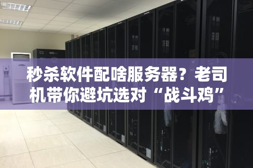 秒杀软件配啥服务器？老司机带你避坑选对“战斗鸡”！