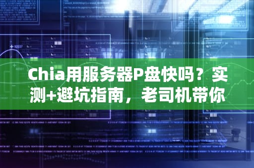 Chia用服务器P盘快吗？实测+避坑指南，老司机带你飞！