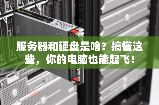 服务器和硬盘是啥？搞懂这些，你的电脑也能起飞！