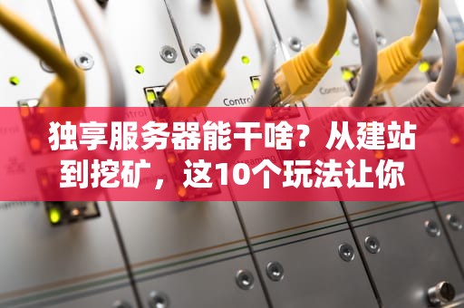 独享服务器能干啥？从建站到挖矿，这10个玩法让你直呼真香！