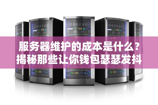 服务器维护的成本是什么？揭秘那些让你钱包瑟瑟发抖的隐形开支！