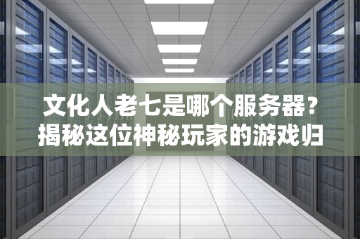 文化人老七是哪个服务器？揭秘这位神秘玩家的游戏归宿！