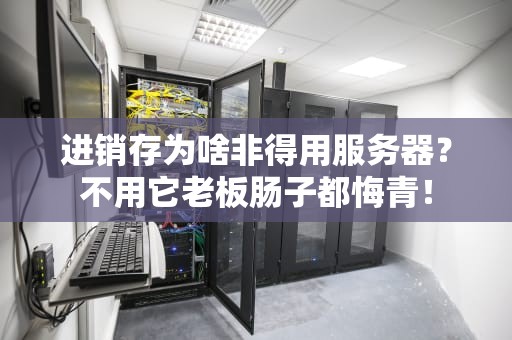 进销存为啥非得用服务器？不用它老板肠子都悔青！
