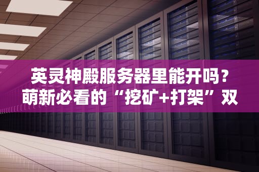 英灵神殿服务器里能开吗？萌新必看的“挖矿+打架”双修指南！