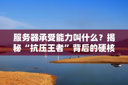 服务器承受能力叫什么？揭秘“抗压王者”背后的硬核指标！