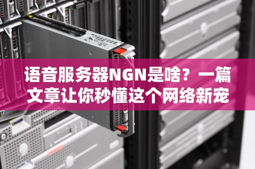 语音服务器NGN是啥？一篇文章让你秒懂这个网络新宠！