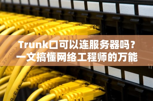 Trunk口可以连服务器吗？一文搞懂网络工程师的万能插线！